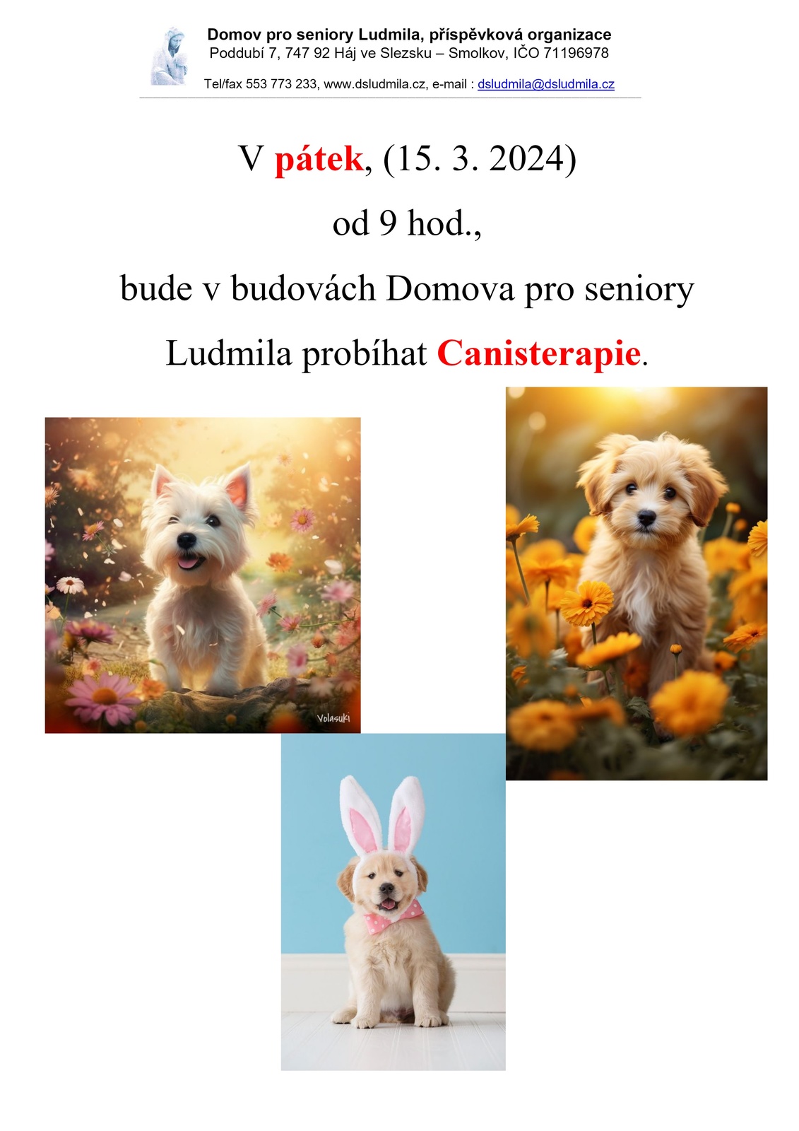 CANISterapie - plakát.jpg